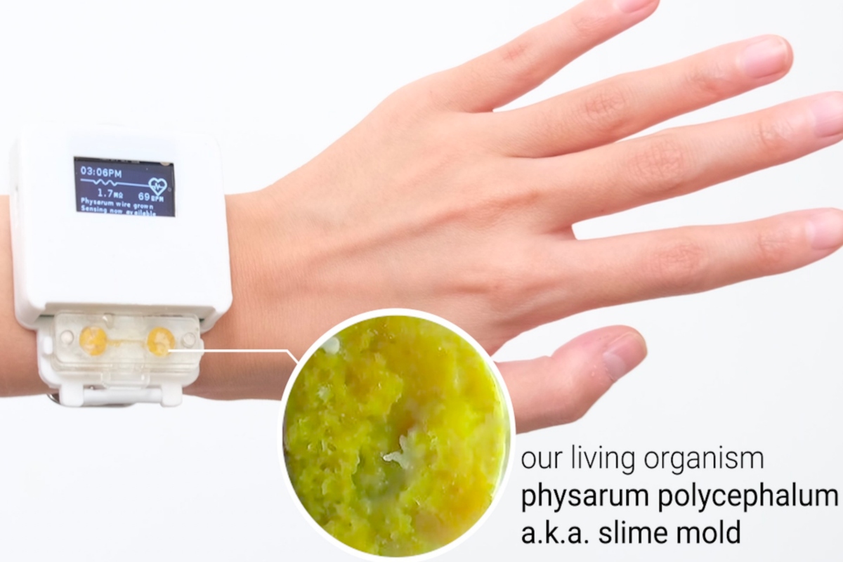 pCari-HONOR-Fanspple-strongnovità-e-stranezze-techstrong-non-finiscono