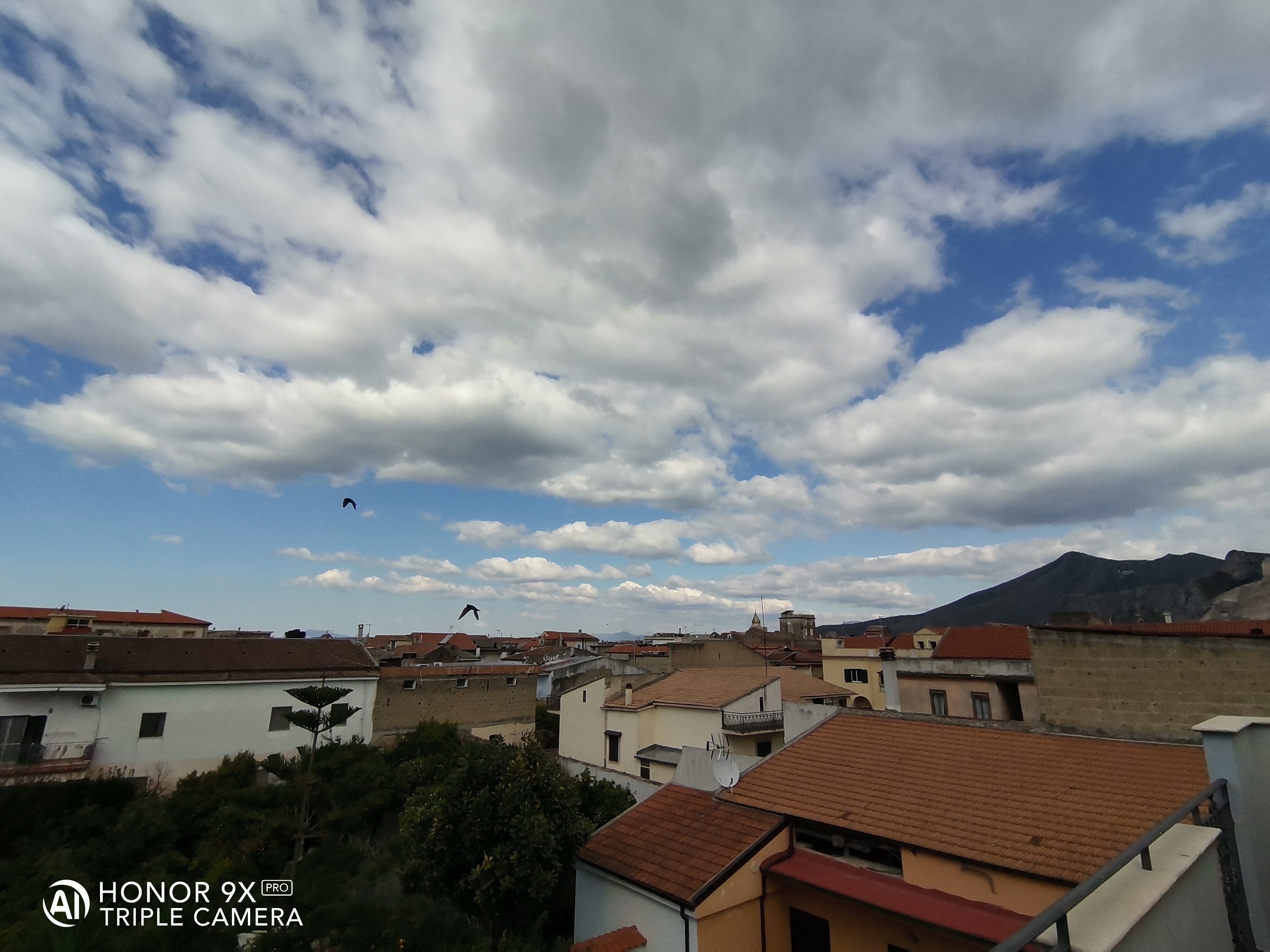 HONOR-9X-Pro-vs-HONOR-20-Scatti-a-confronto