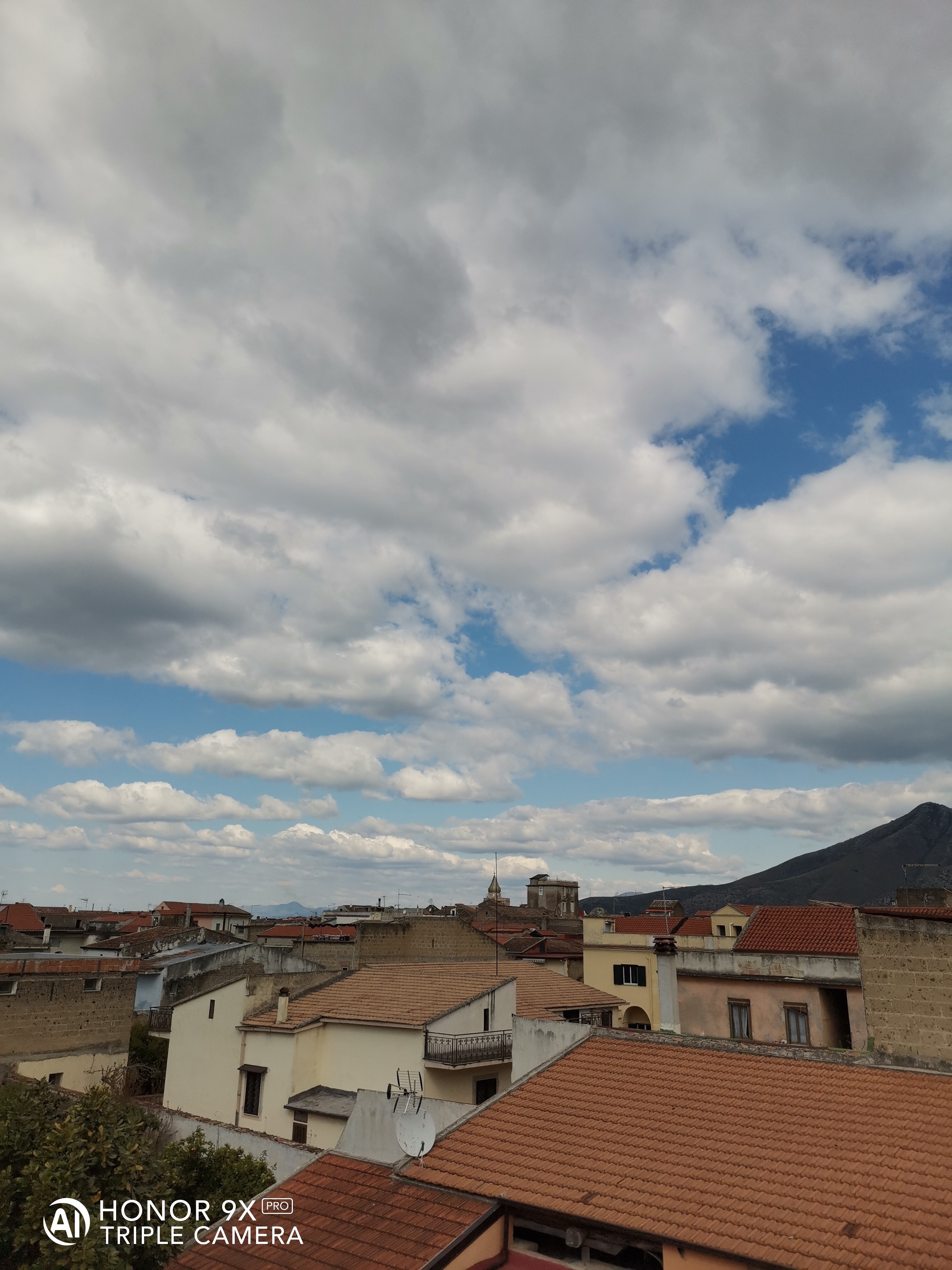 HONOR-9X-Pro-vs-HONOR-20-Scatti-a-confronto