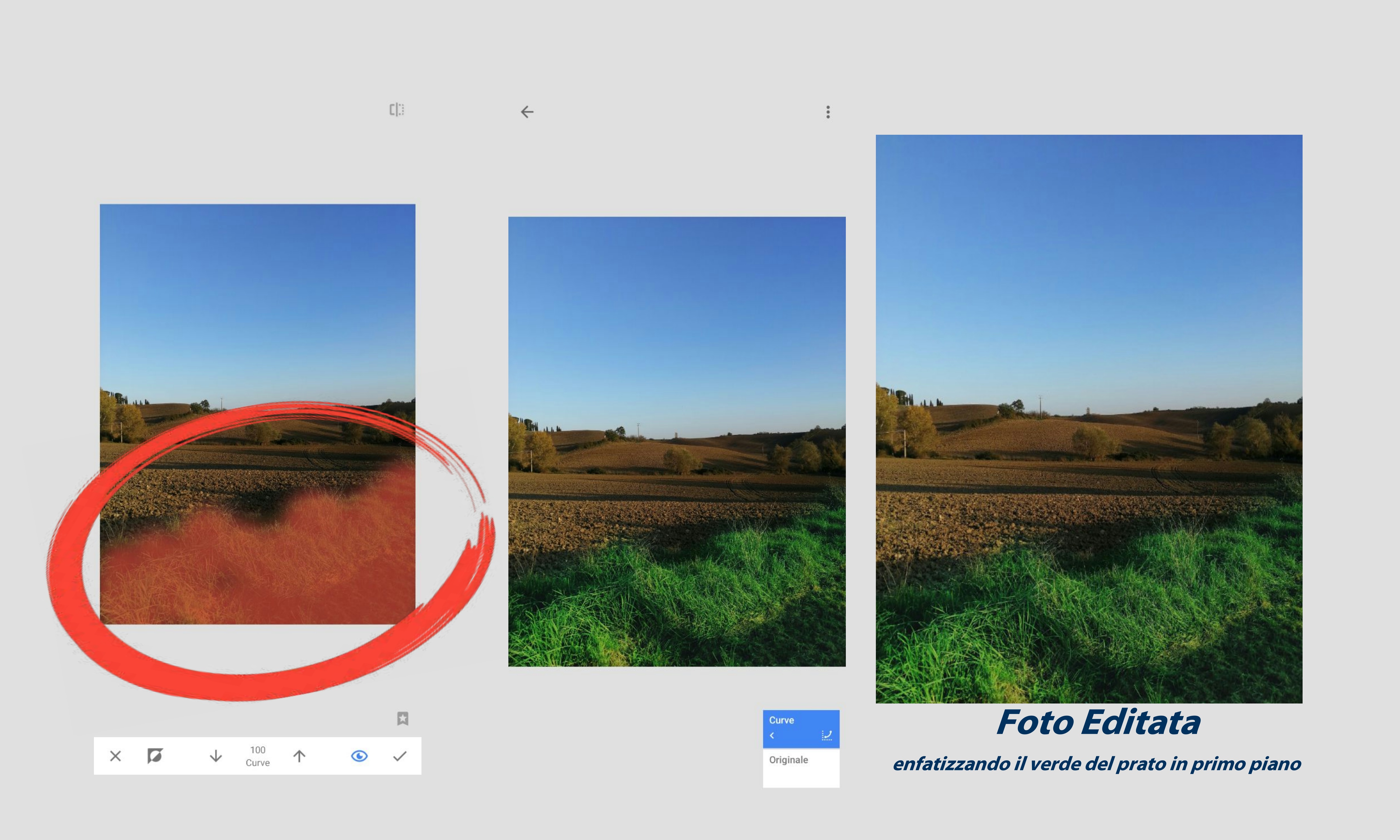 pimg-srchttpsiforum-dechihonorcomitdataimages20201113dd80f266-c980