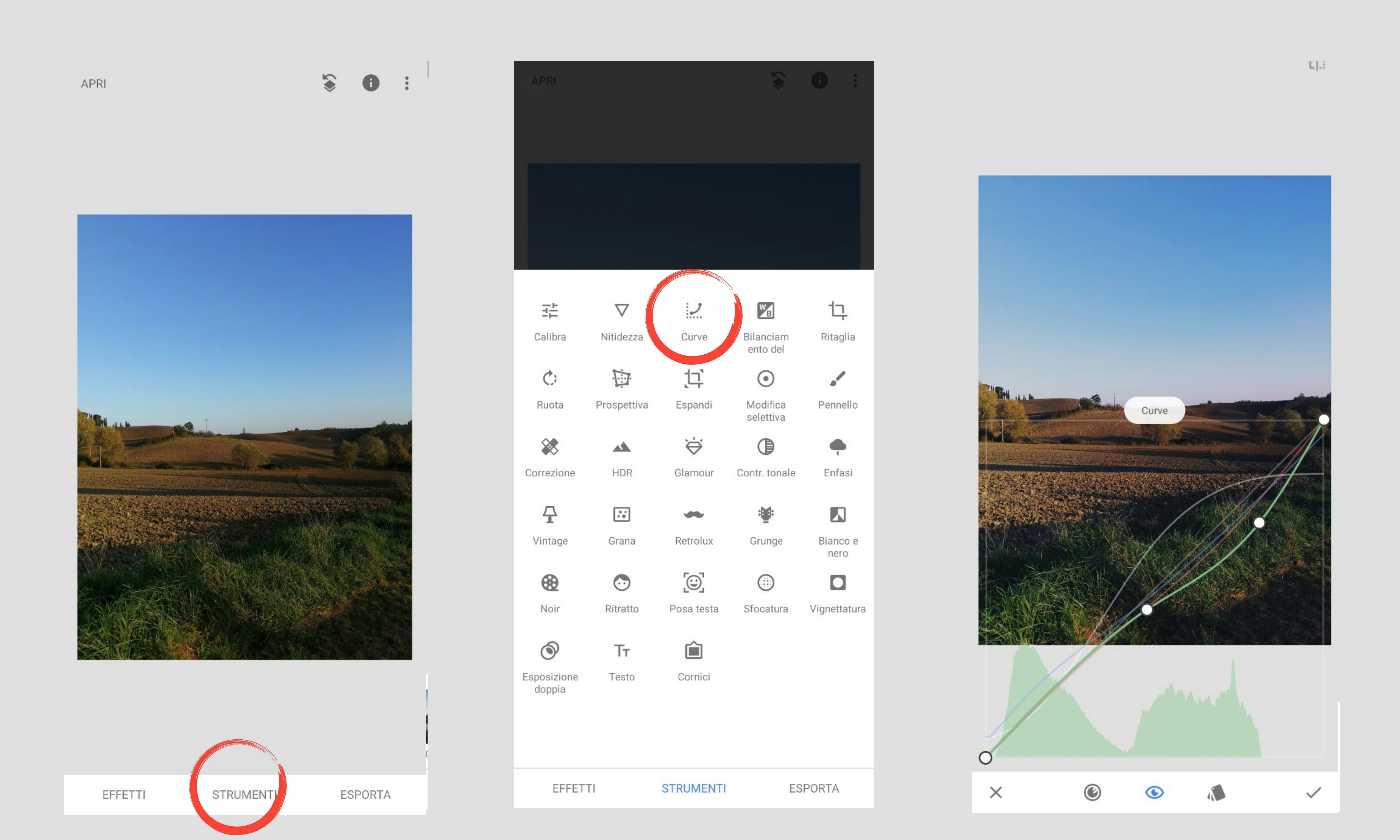 pimg-srchttpsiforum-dechihonorcomitdataimages20201113dd80f266-c980