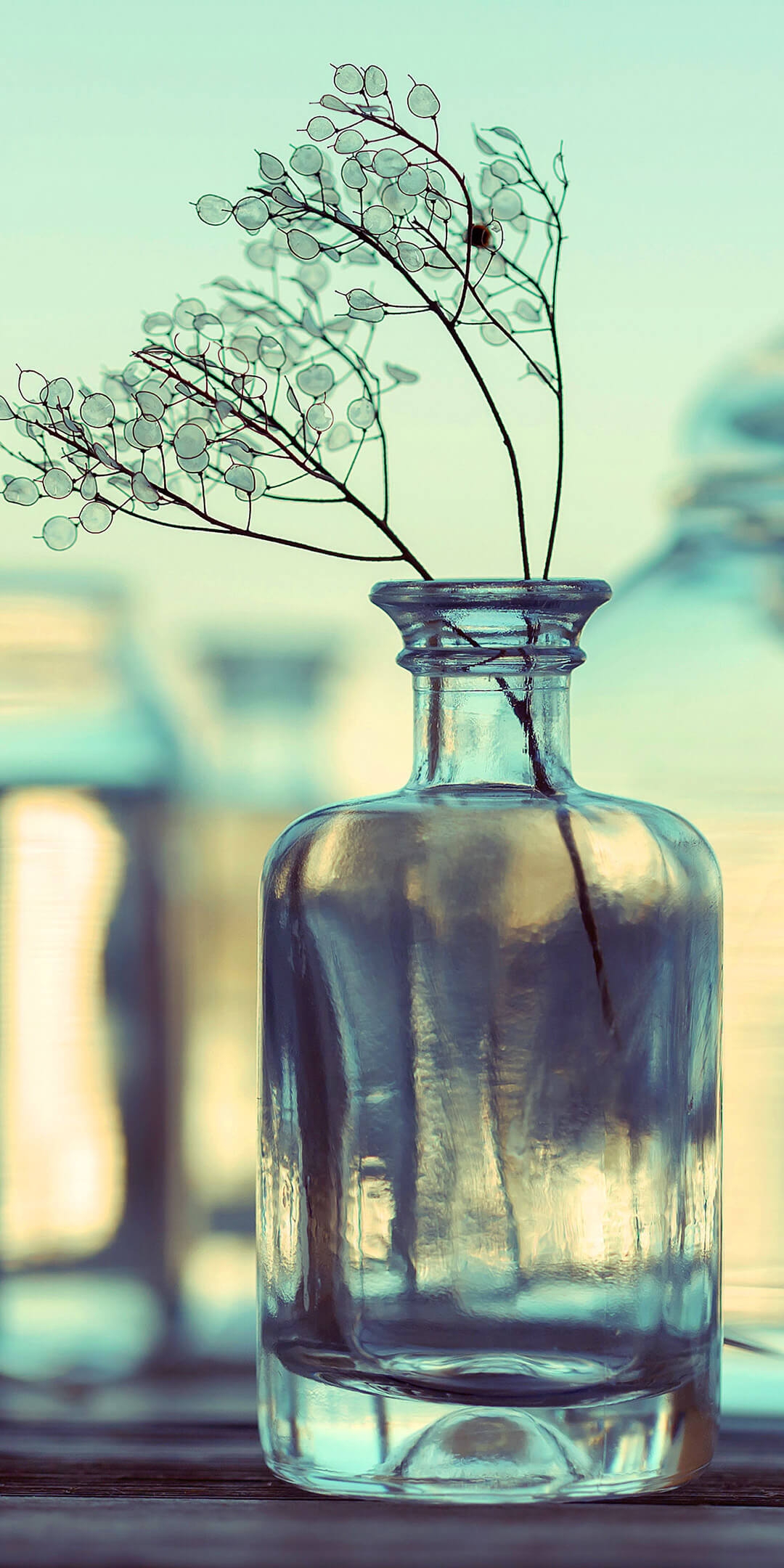 Sfondi-piú-belli-e-originali