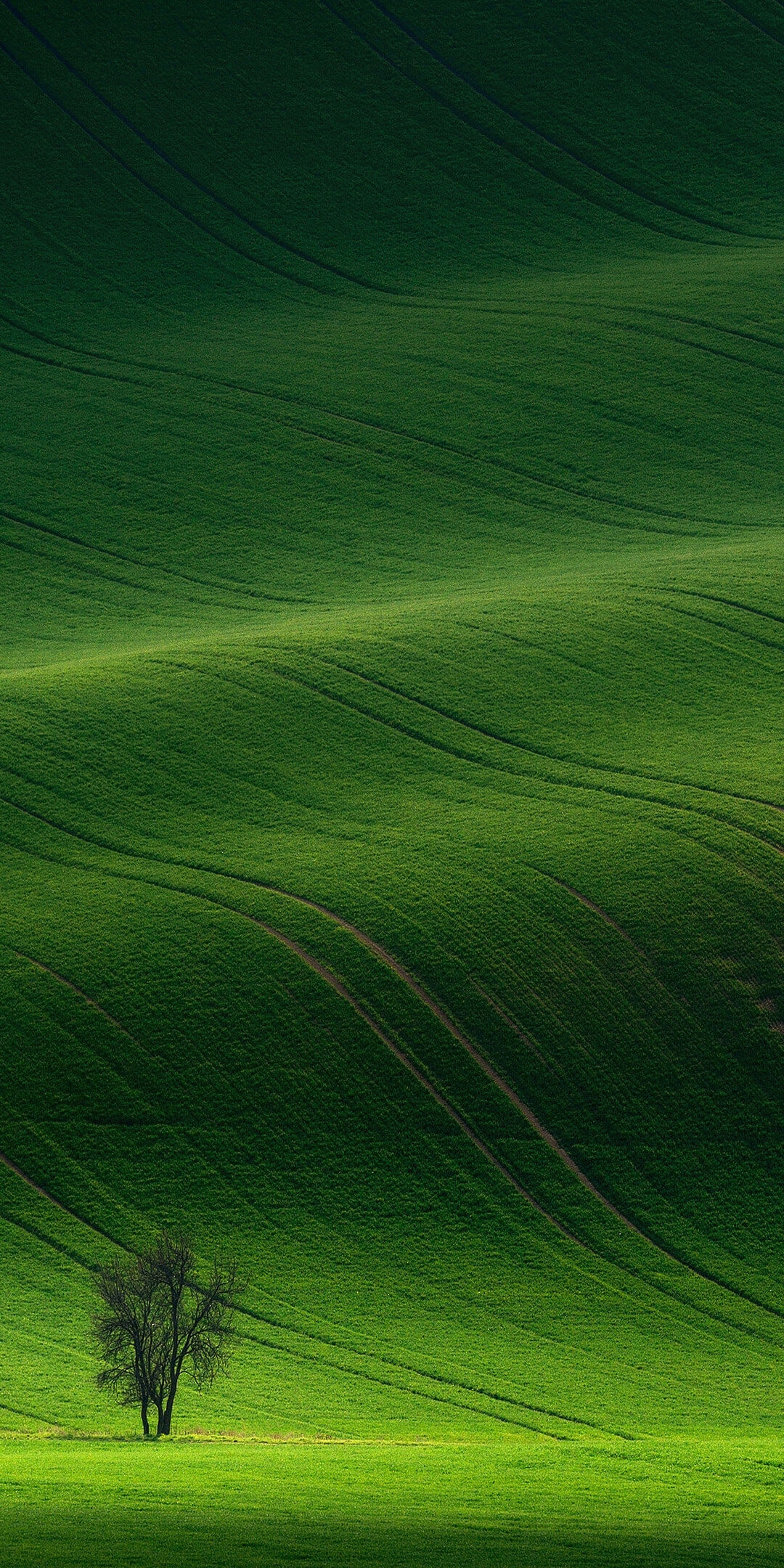 Sfondi-piú-belli-e-originali