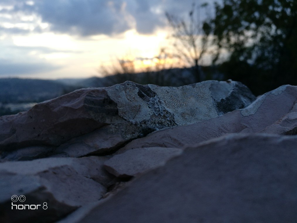 FAN-DEL-MESE-Luglio-2019---A-tu-per-tu-con-Honorfans591