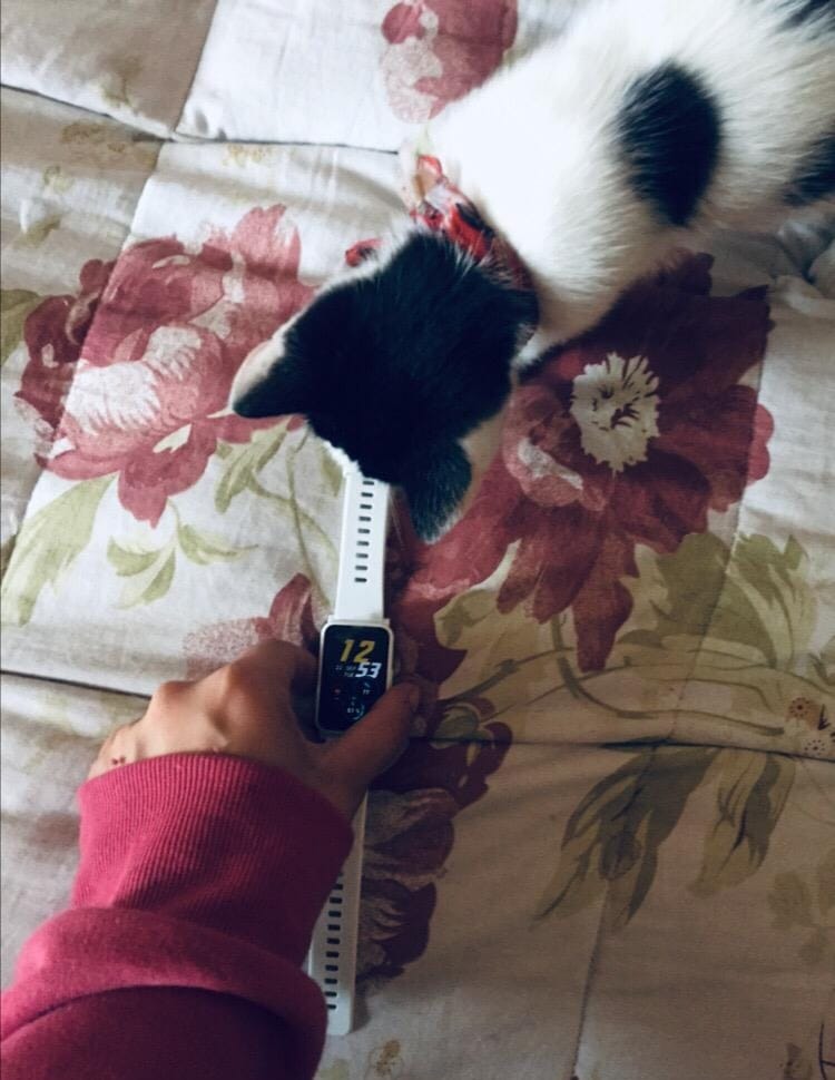 pspanBuongiorno-Honor-Fans-spanppoggi-volevo-parlarvi-del-nuovo-smart