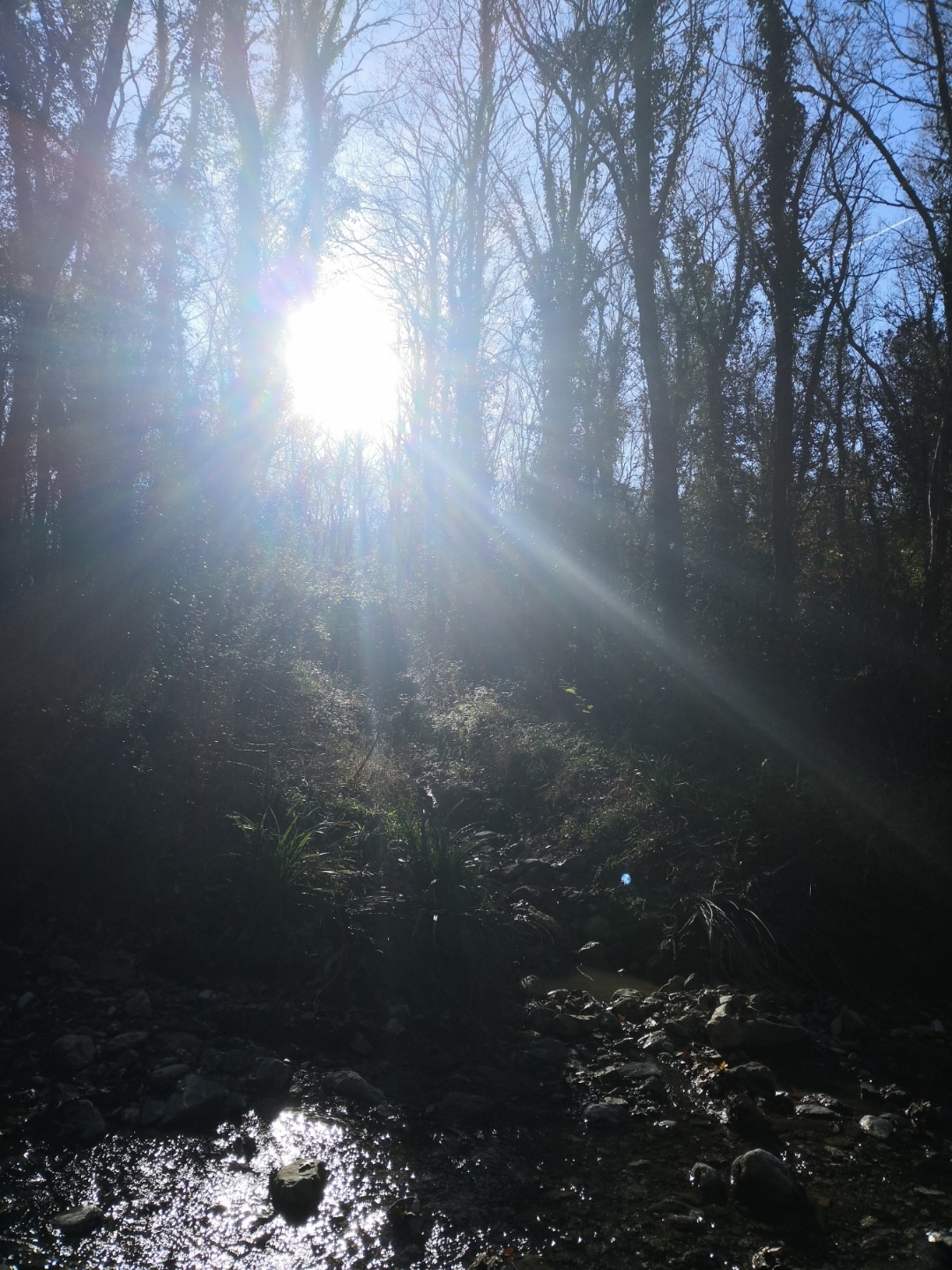 pimg-srchttpsiforum-dechihonorcomitdataimages2021131fe0b9d36-ee6b-4dc8