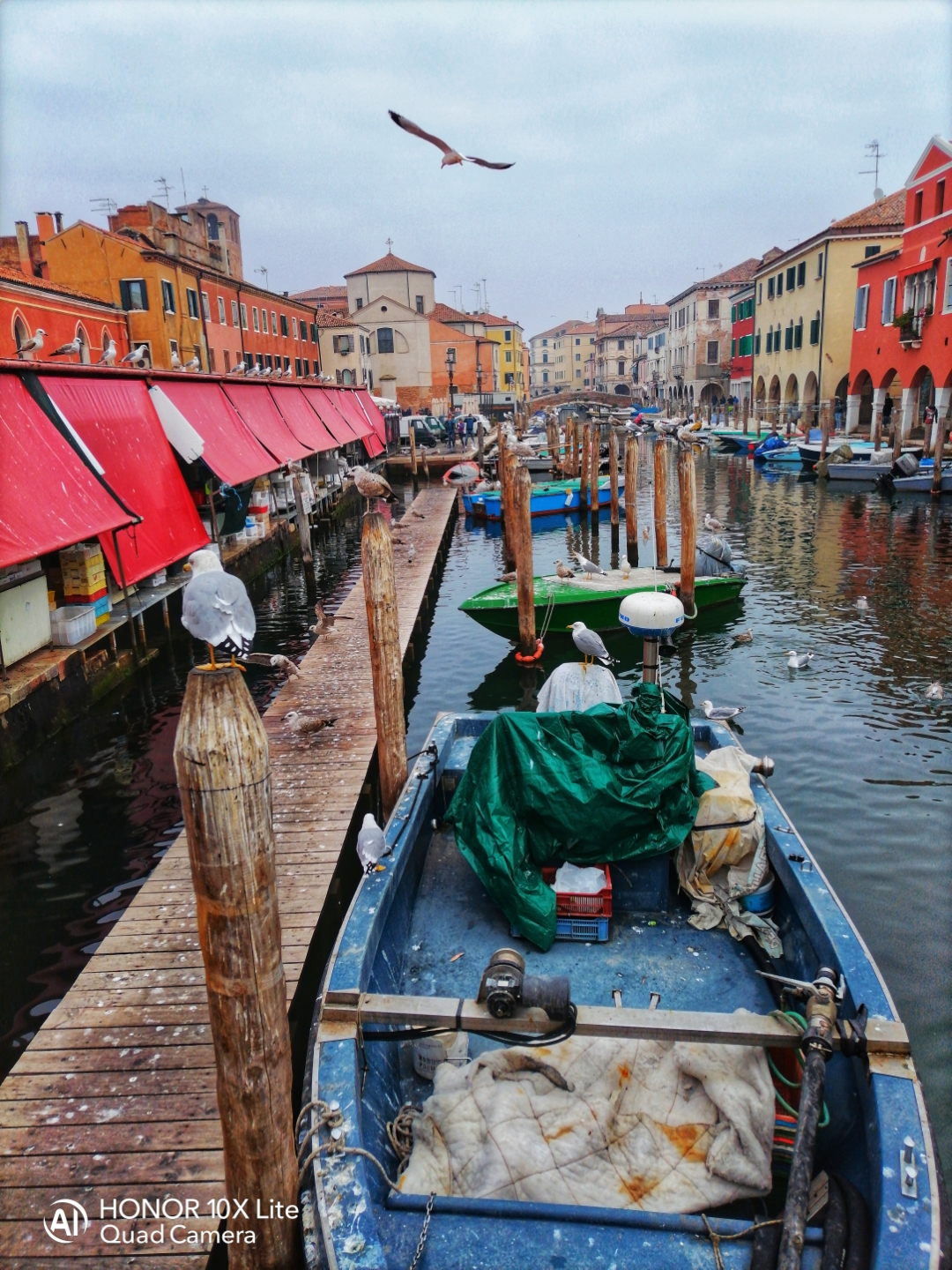 pimg-srchttpsiforum-dechihonorcomitdataimages20211128cbf03d9-e108-40e2