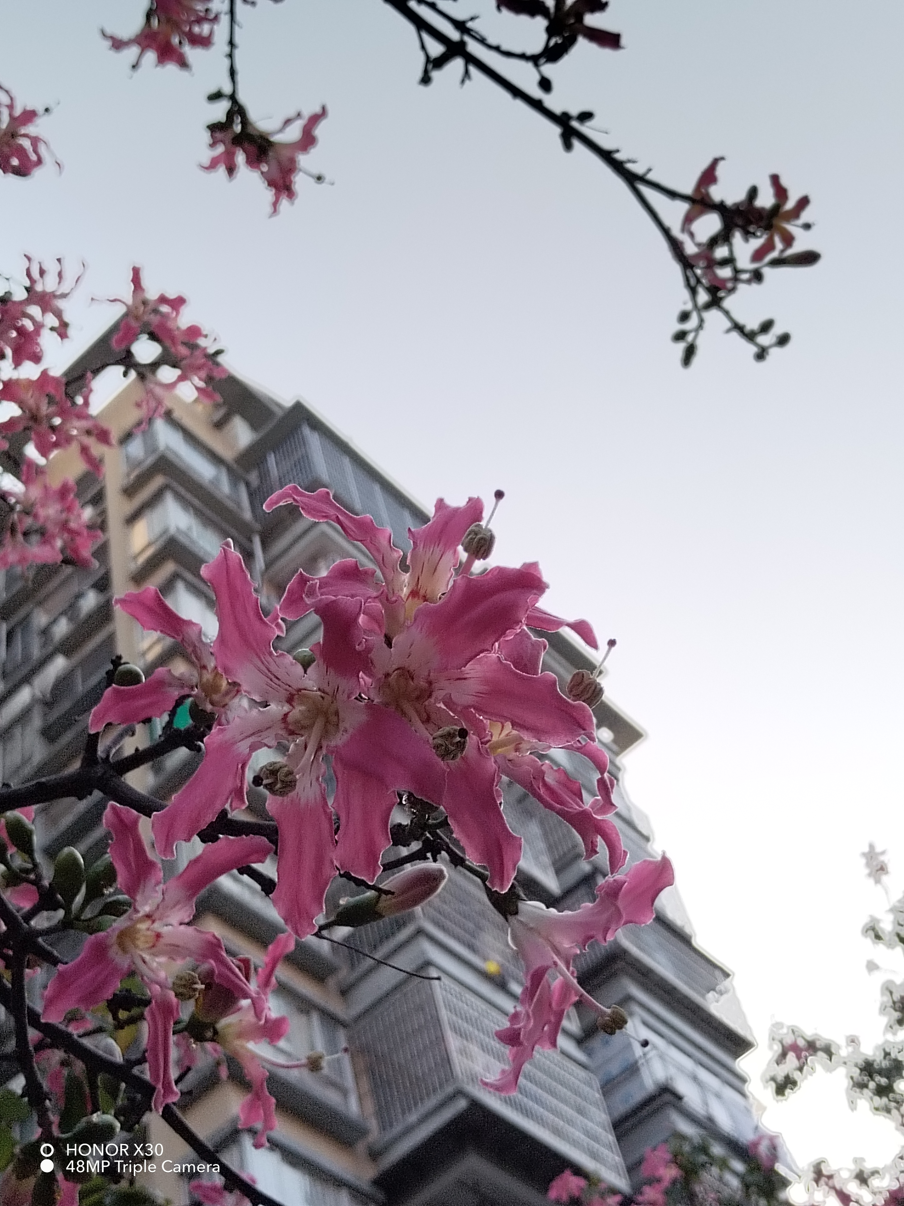 pspan-stylefont-size18pxbrspanppspan-stylefont-size18pxLanciato-ieri-e