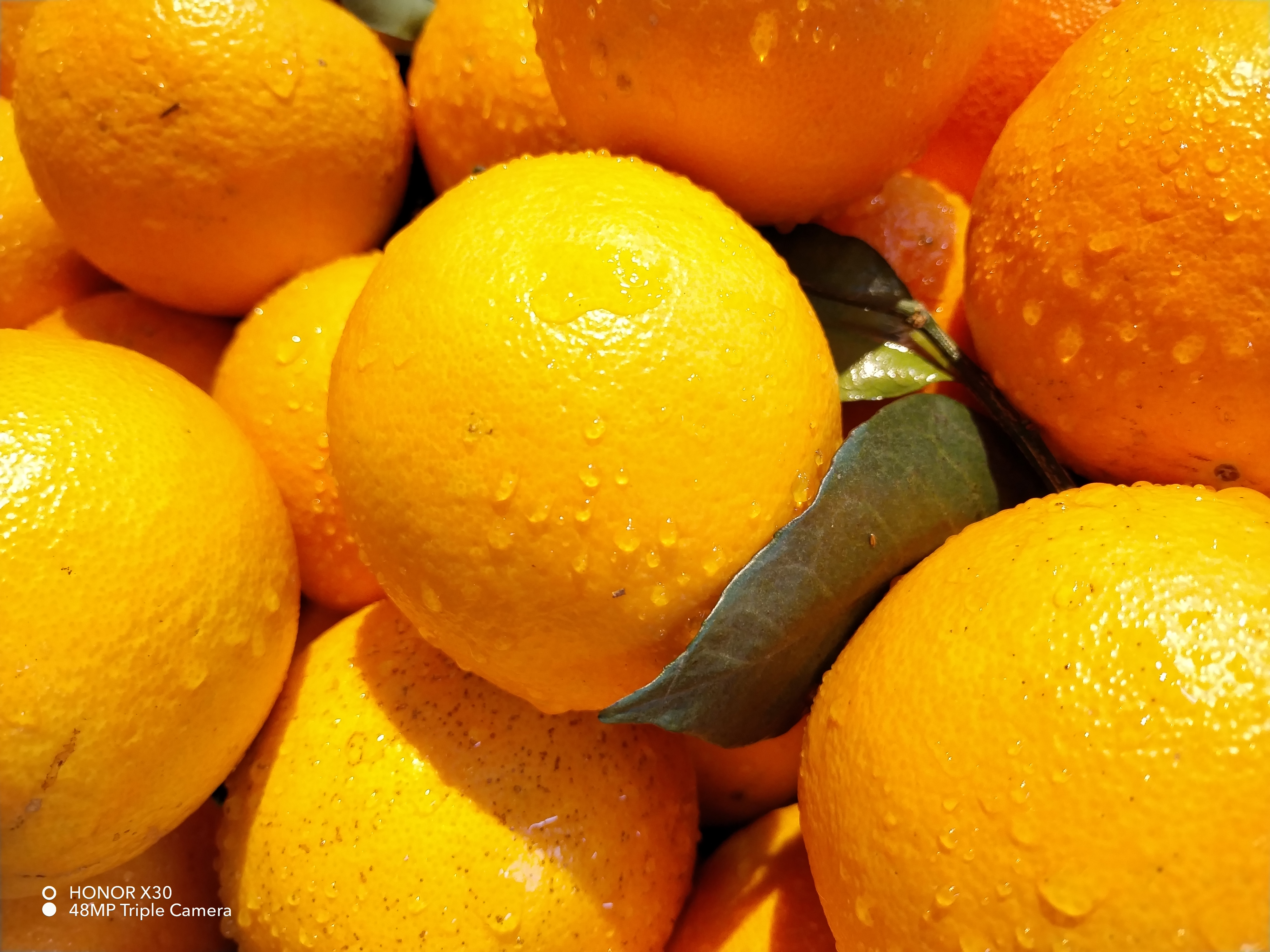 pspan-stylefont-size18pxbrspanppspan-stylefont-size18pxLanciato-ieri-e