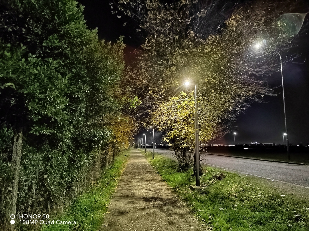 p-styletext-align-centerstrongspan-stylecolorrgb25500font