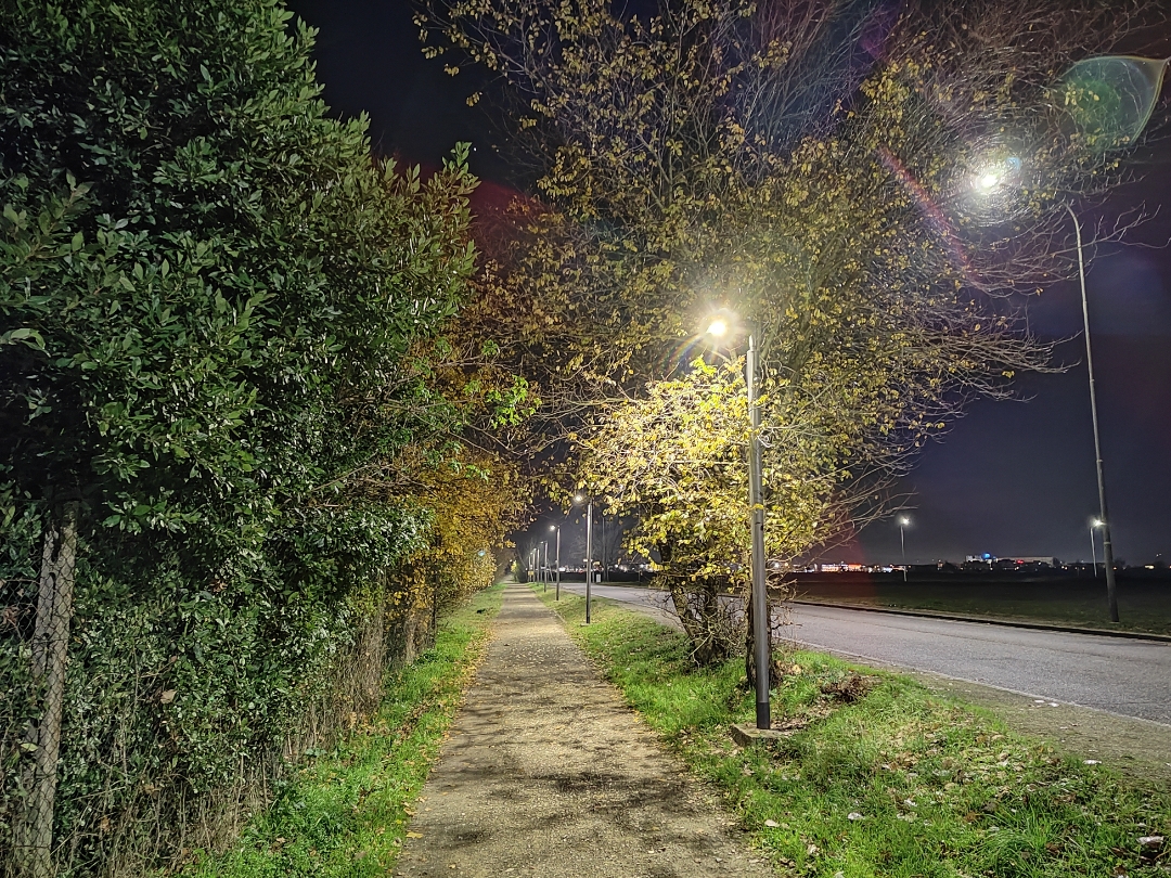 p-styletext-align-centerstrongspan-stylecolorrgb25500font