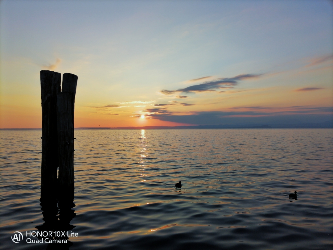 pimg-srchttpsiforum-dechihonorcomitdataimages2021215d825d70d-adc0-4d3f