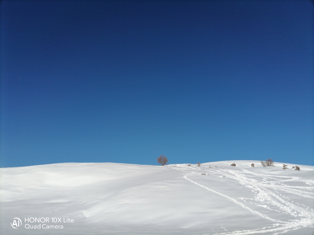 pimg-srchttpsiforum-dechihonorcomitdataimages20212165f1a14ef-d3e9-4ca2