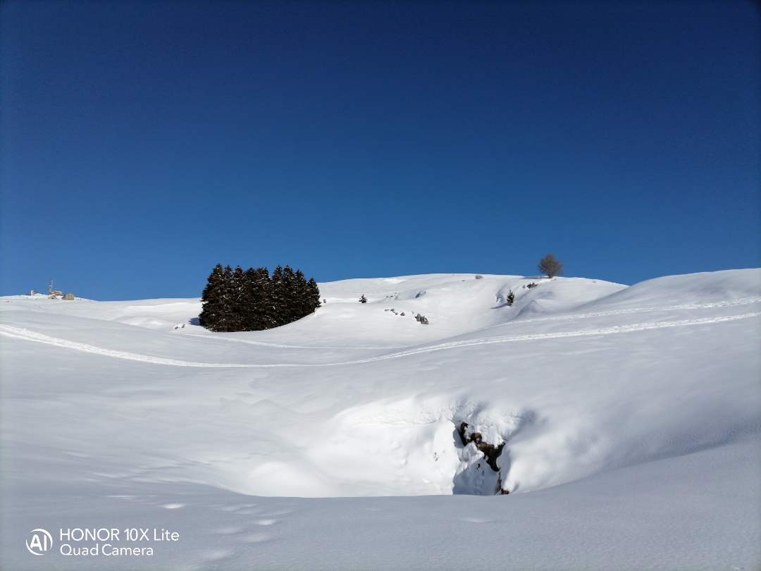 pimg-srchttpsiforum-dechihonorcomitdataimages20212165f1a14ef-d3e9-4ca2