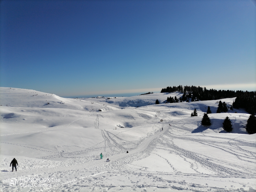 pimg-srchttpsiforum-dechihonorcomitdataimages20212165f1a14ef-d3e9-4ca2