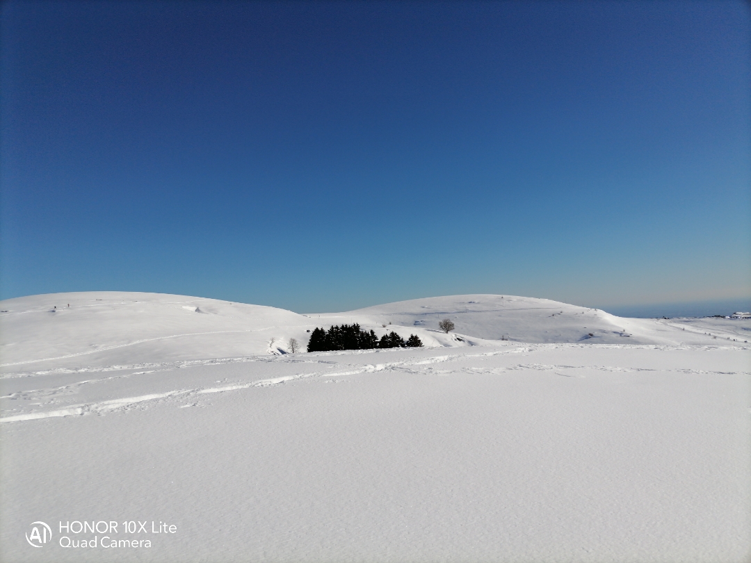 pimg-srchttpsiforum-dechihonorcomitdataimages20212165f1a14ef-d3e9-4ca2