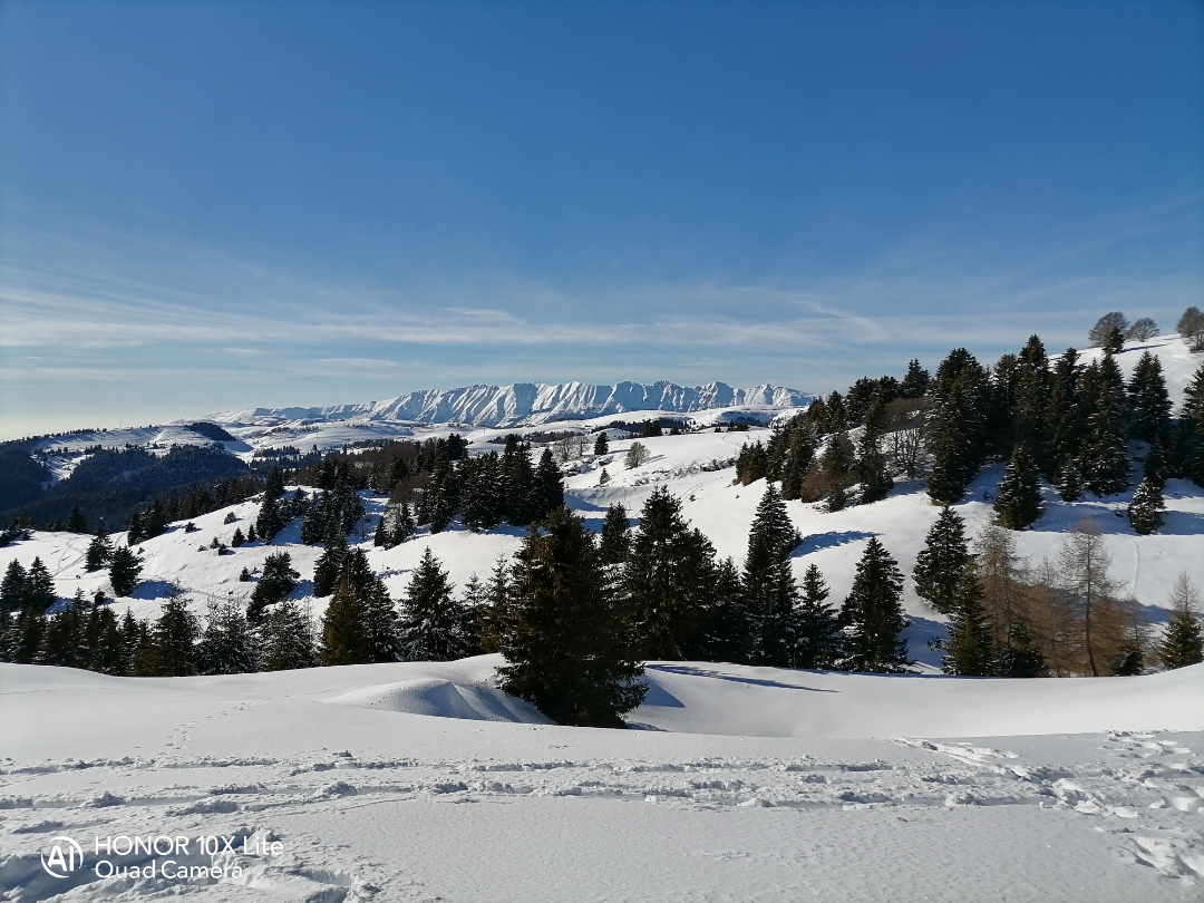 pimg-srchttpsiforum-dechihonorcomitdataimages20212165f1a14ef-d3e9-4ca2