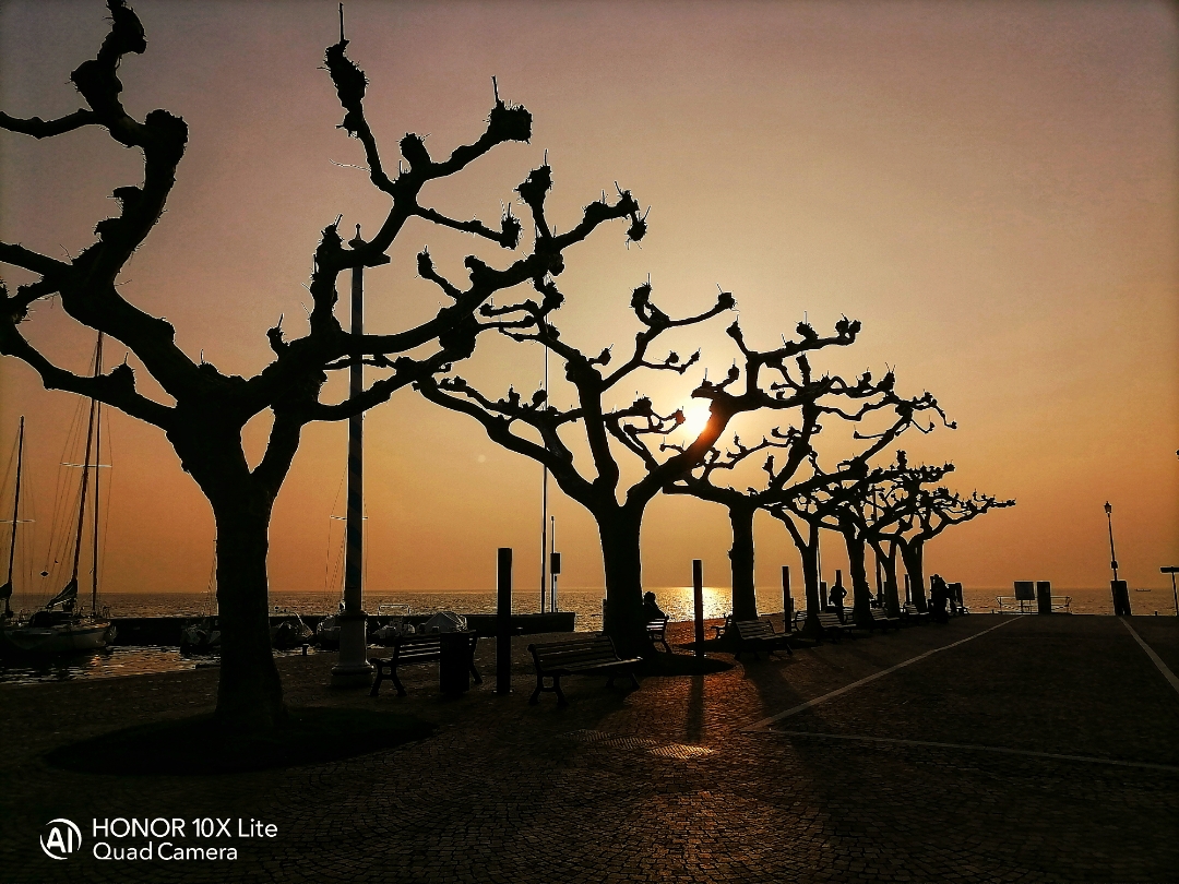 pimg-srchttpsiforum-dechihonorcomitdataimages2021224801c41b6-0de5-4e54