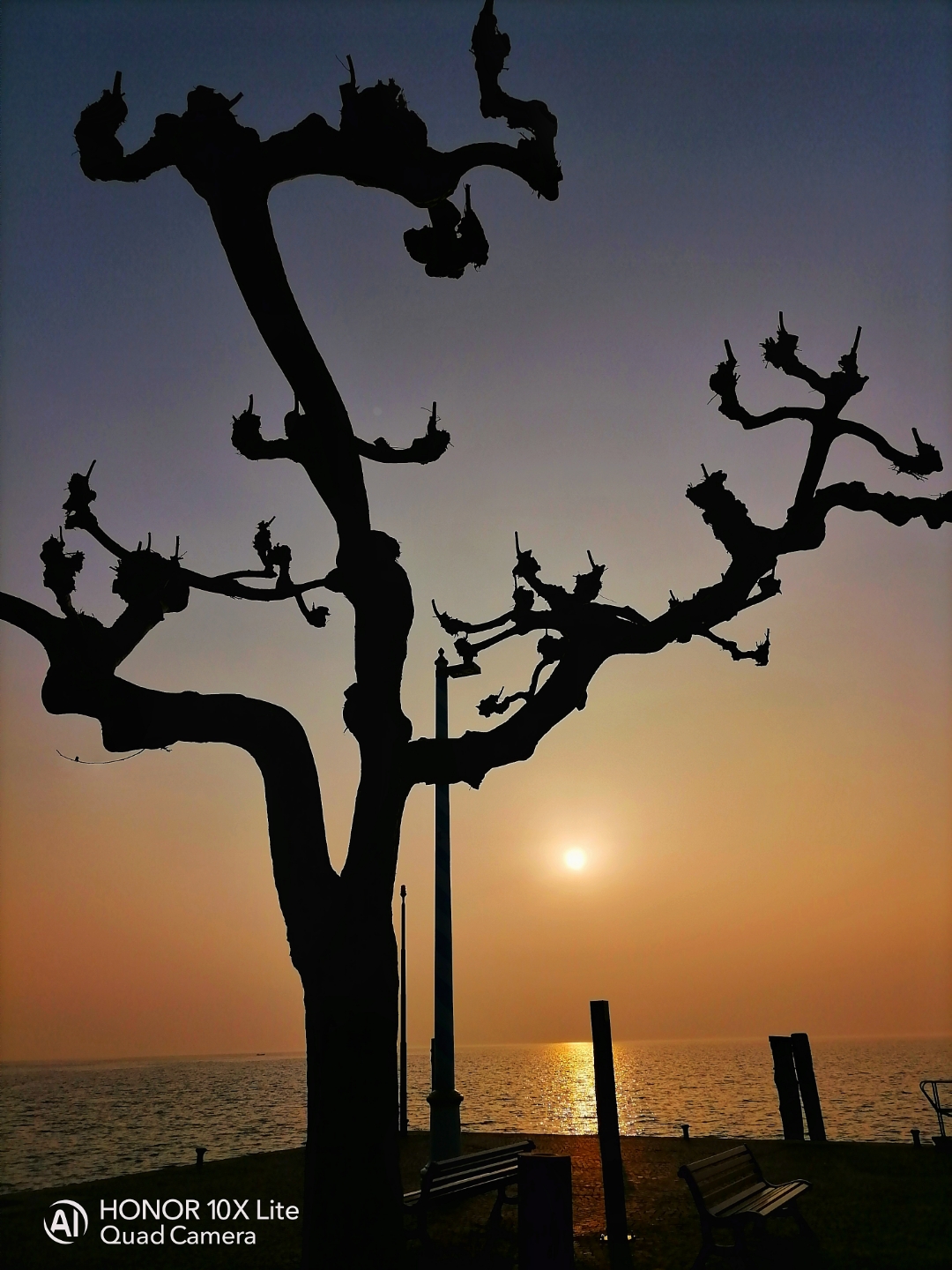 pimg-srchttpsiforum-dechihonorcomitdataimages2021224801c41b6-0de5-4e54