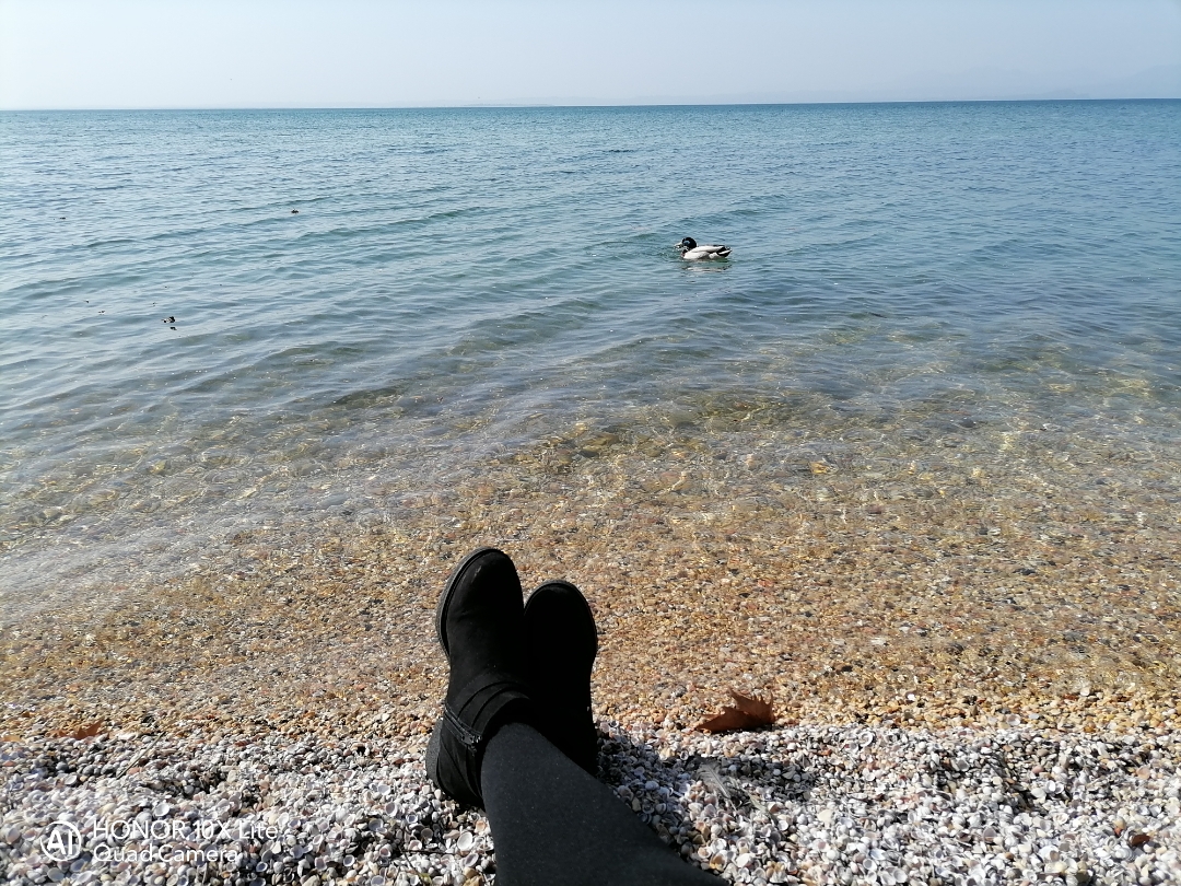 pimg-srchttpsiforum-dechihonorcomitdataimages202122763f23bc2-1ca8-4e2a