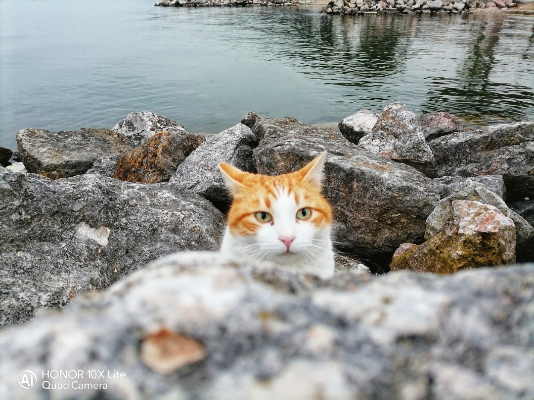 pimg-srchttpsiforum-dechihonorcomitdataimages202122763f23bc2-1ca8-4e2a