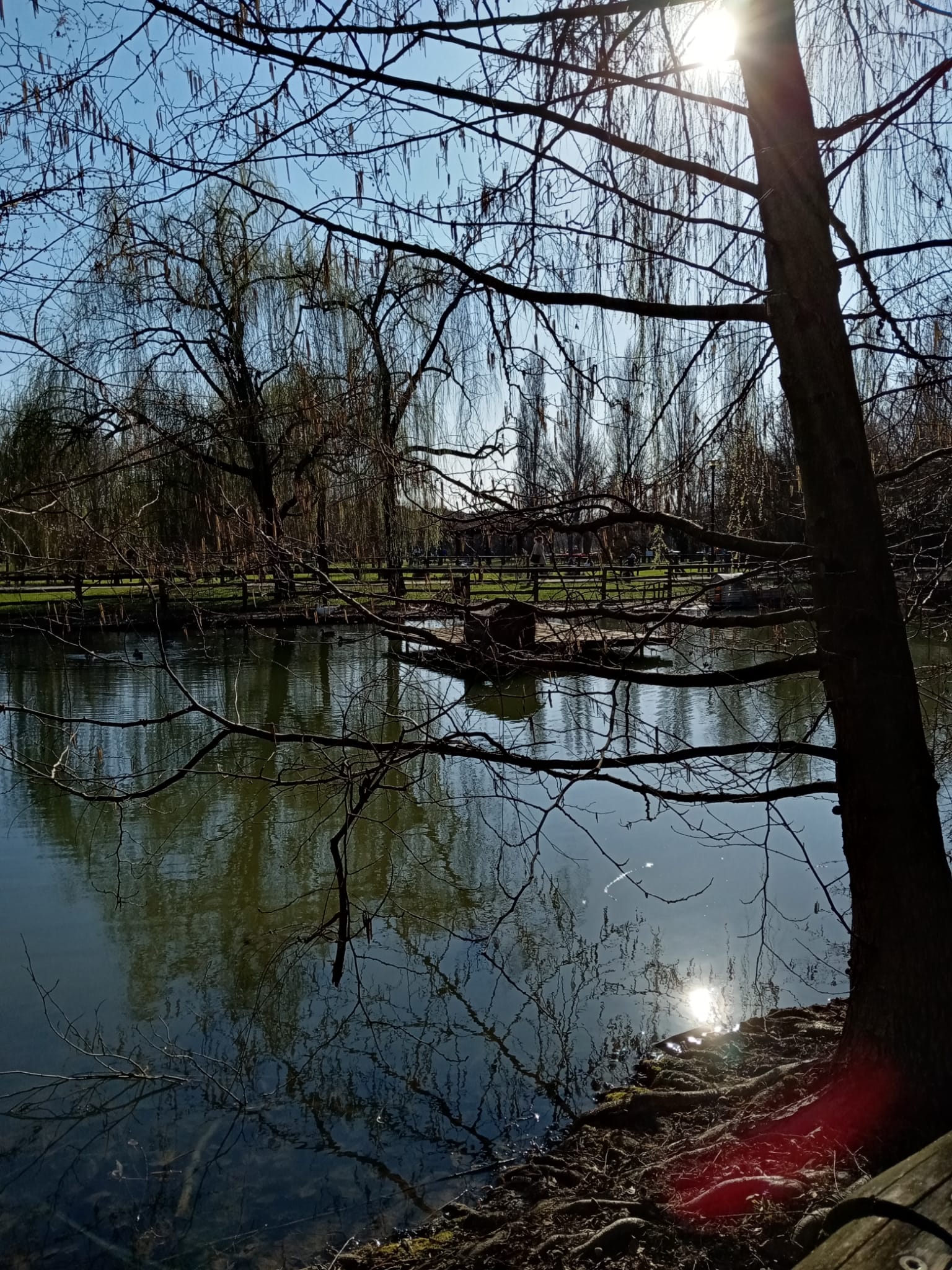 pCiao-ragazzippvi-lascio-qualche-scatto-realizzato-con-strongHONOR-9A