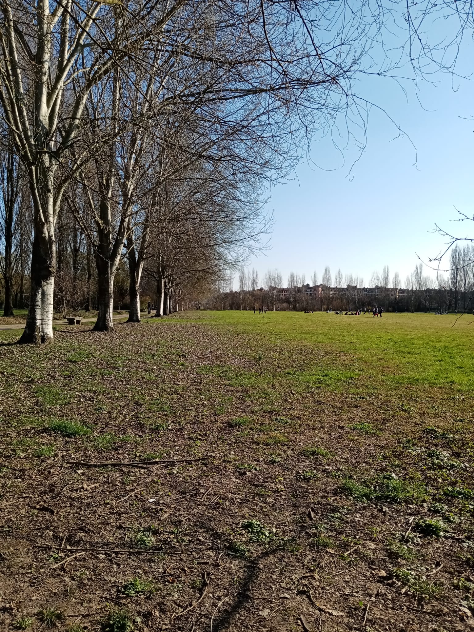 pCiao-ragazzippvi-lascio-qualche-scatto-realizzato-con-strongHONOR-9A