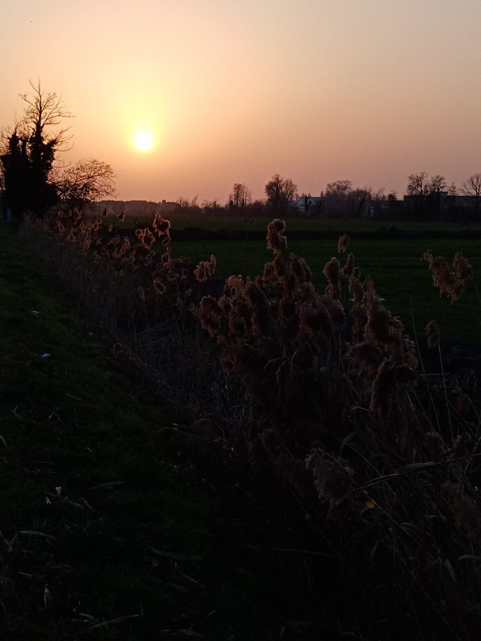 pCiao-ragazzippvi-lascio-qualche-scatto-realizzato-con-strongHONOR-9A