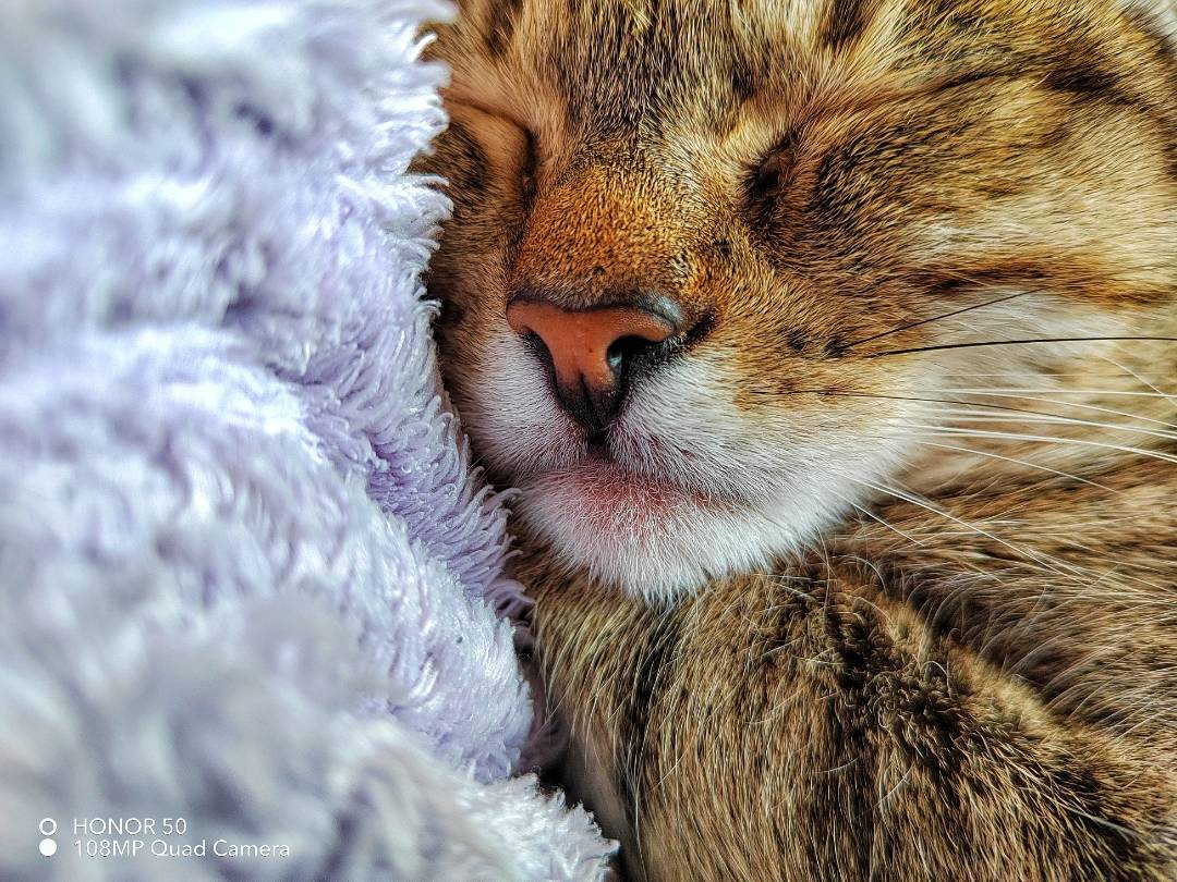 p-styletext-align-centerstrongNuovo-anno-stesse