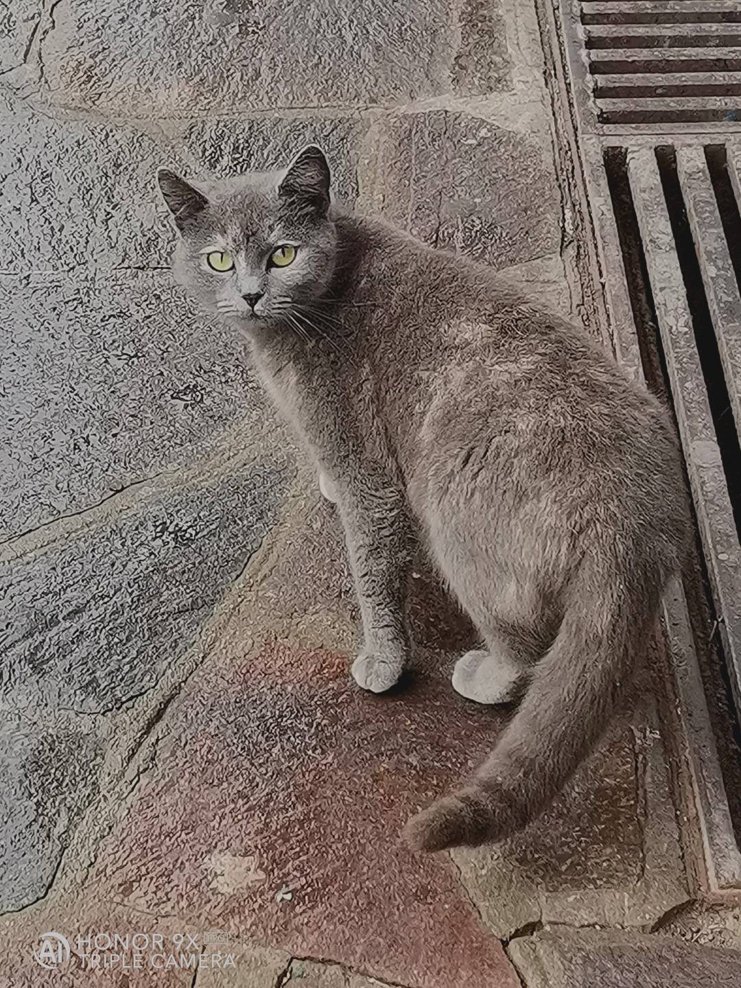 p-styletext-align-centerstrongBuon-Lunedi-a-tuttistrongpp-styletext