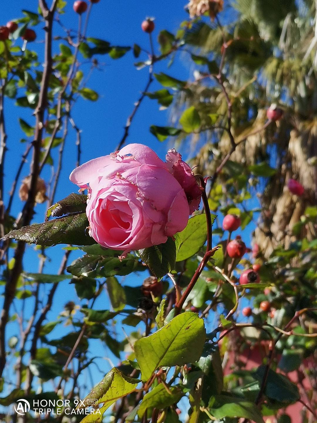 p-styletext-align-centerstrongBuon-Lunedi-a-tuttistrongpp-styletext