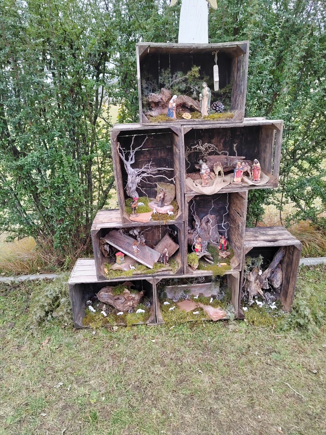 pimg-srchttpsiforum-dechihonorcomitdataimages20221425307588-29e1-4795