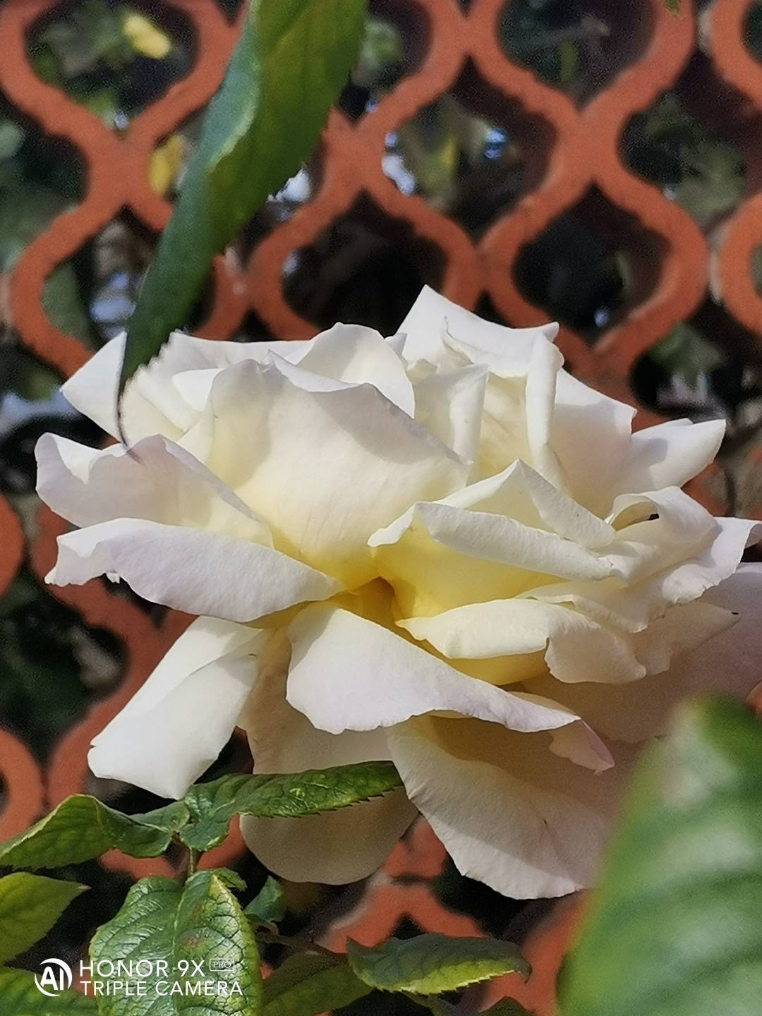 p-styletext-align-centerBen-ritrovatinbspimg-srchttpsiforum