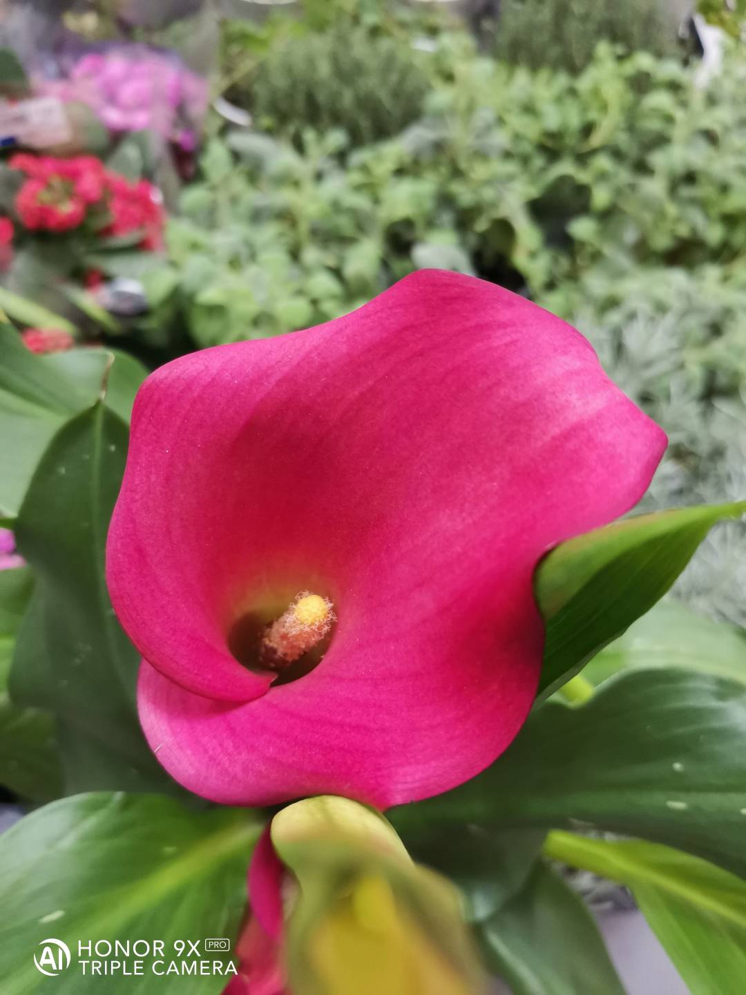 p-styletext-align-centerBen-ritrovatinbspimg-srchttpsiforum