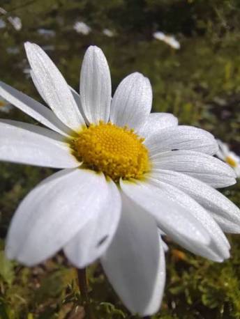 p-styletext-align-centerBen-ritrovatinbspimg-srchttpsiforum