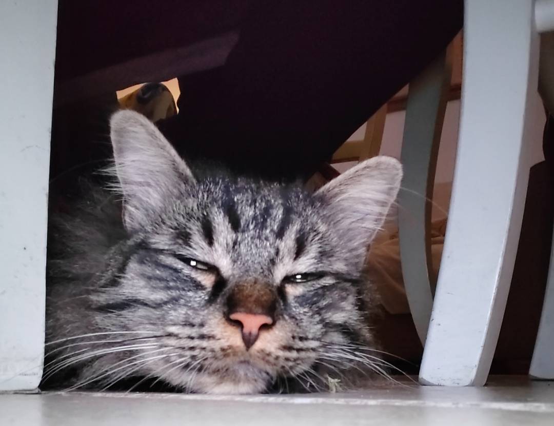 p-styletext-align-centerBen-ritrovatinbspimg-srchttpsiforum