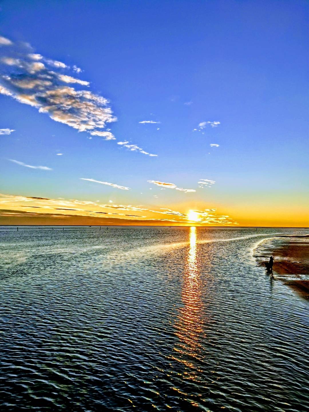 p-styletext-align-centerBen-ritrovatinbspimg-srchttpsiforum