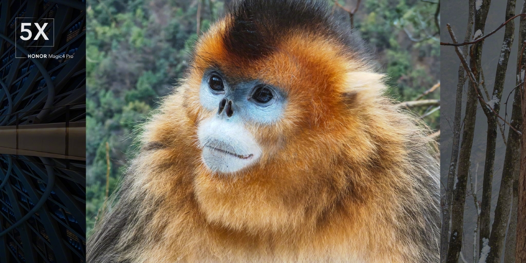pDurante-la-presentazione-di-ieri-abbiamo-sentito-parlare-per-la-prima