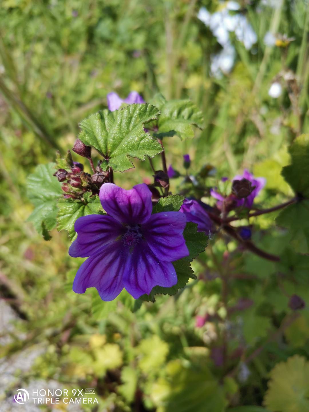 p-styletext-align-centerBuon-lunedi-Communitypp-styletext-align