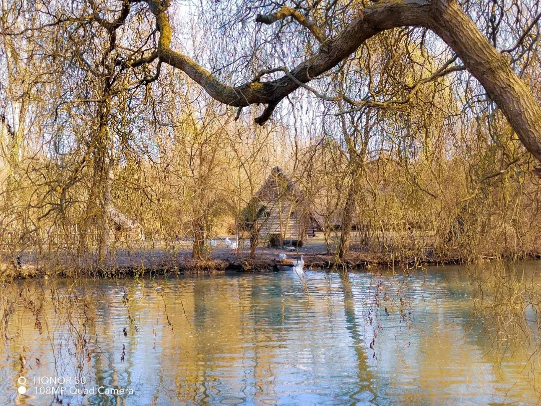 p-styletext-align-centerBuon-lunedi-Communitypp-styletext-align