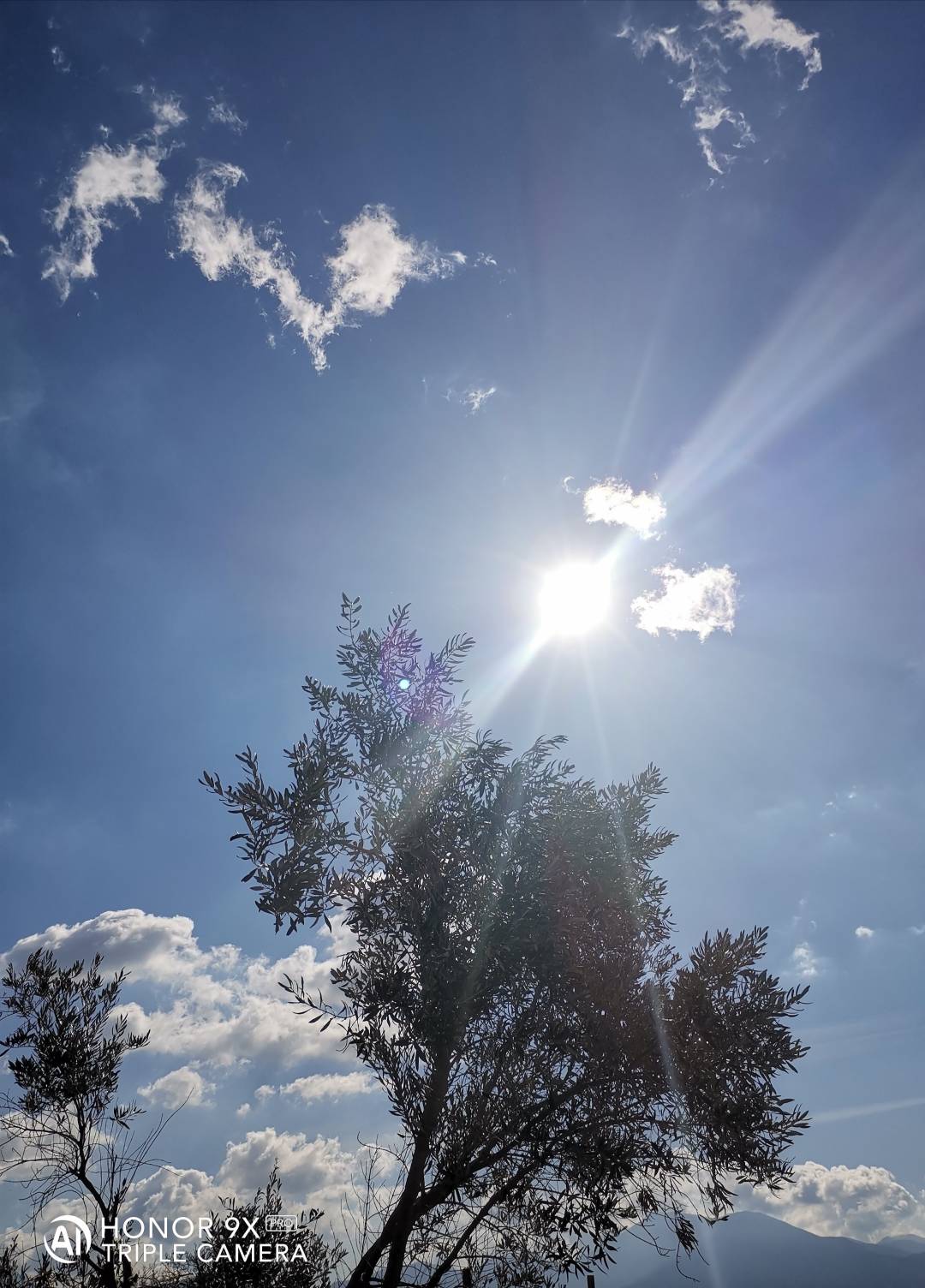 p-styletext-align-centerBuon-lunedi-Communitypp-styletext-align