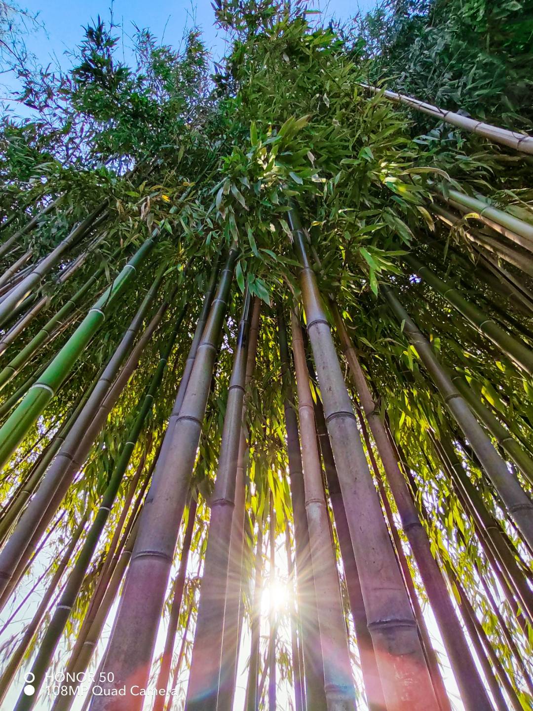 p-styletext-align-centerBuon-lunedi-Communitypp-styletext-align