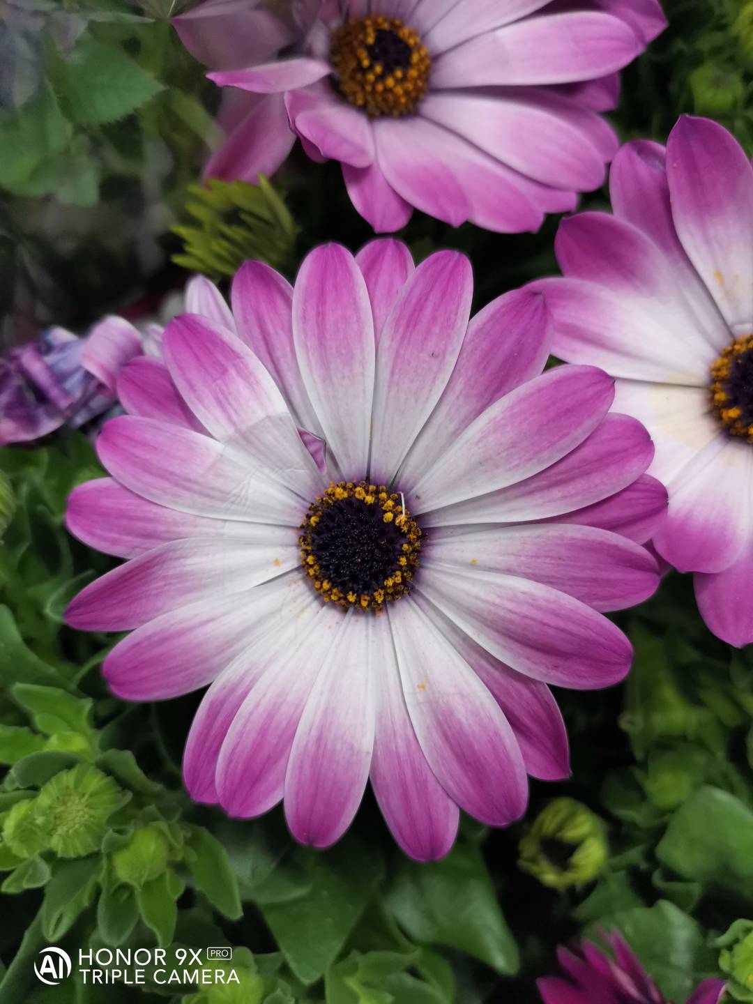 p-styletext-align-centerBuon-Lunedi-Communitypp-styletext-align