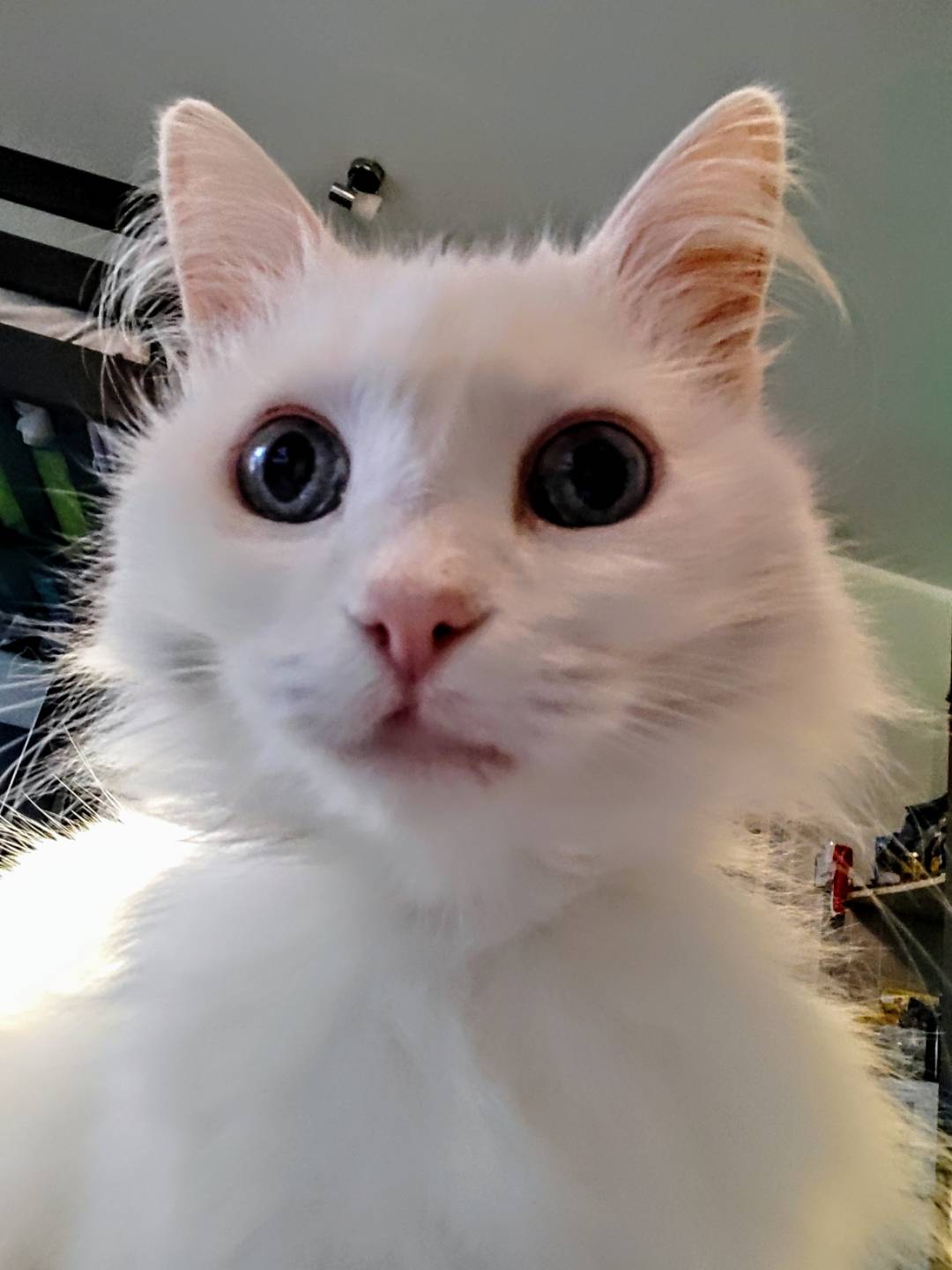 p-styletext-align-centerBuon-Lunedi-Communitypp-styletext-align