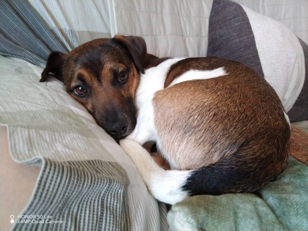 p-styletext-align-centerCiao-COMMUNITYpp-styletext-align-centercome