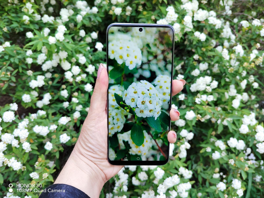 pimg-srchttpsiforum-dechihonorcomitdataimages2022419885b2cdd-a0fe-4418