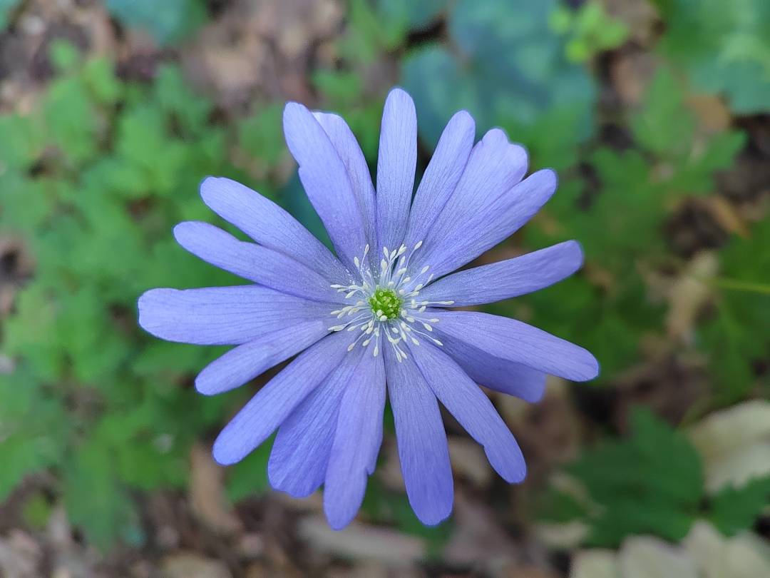 p-styletext-align-centerCiao-COMMUNITYpp-styletext-align-centercome