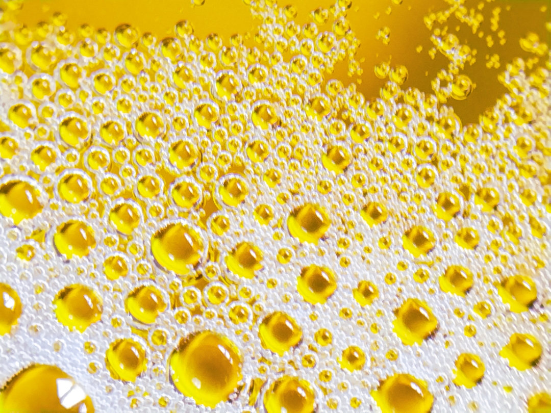 pimg-srchttpsiforum-dechihonorcomitdataimages2022419885b2cdd-a0fe-4418