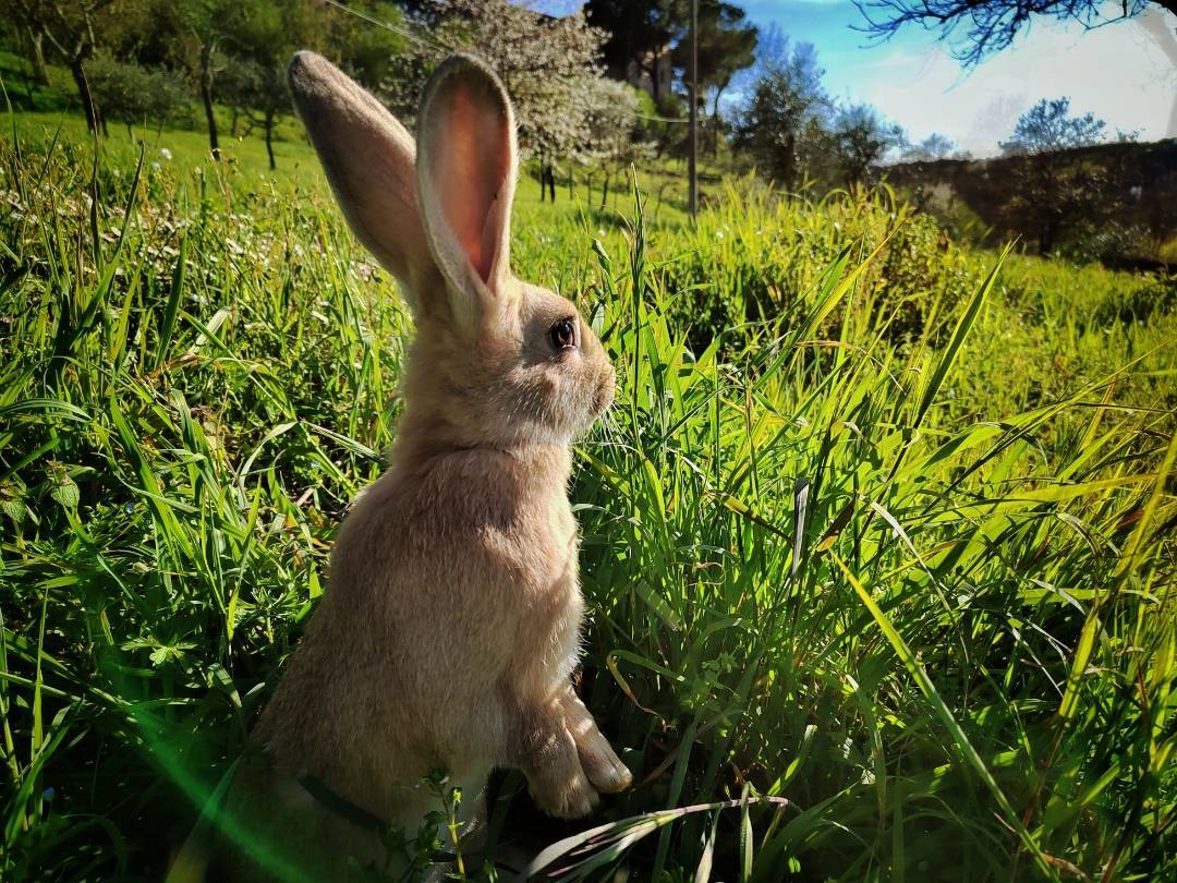 p-styletext-align-centerCiao-COMMUNITYpp-styletext-align-centercome