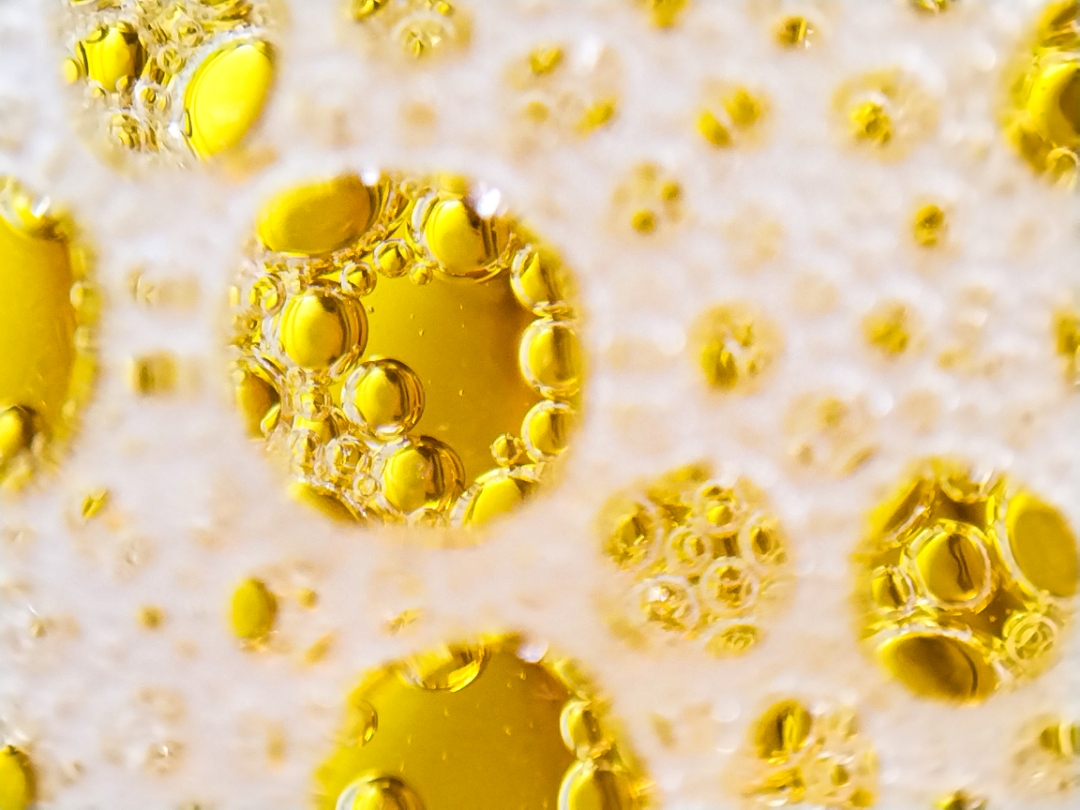 pimg-srchttpsiforum-dechihonorcomitdataimages2022419885b2cdd-a0fe-4418